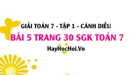 Giải bài 5 trang 30 Toán 7 Tập 1 SGK Cánh Diều